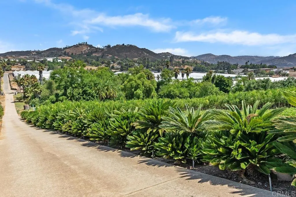 Easy San Marcos, CA 92069 - Photo 6 of 13 a view of a lush green field with a mountain in the background