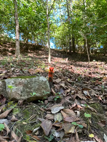 $459,999 | 11081 Brookhill Drive, Brookville, IN 47012