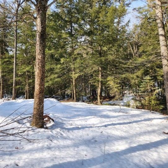 445 Moss Road Lewis, NY 12950 - Photo 8 of 9 Gallery Image 8