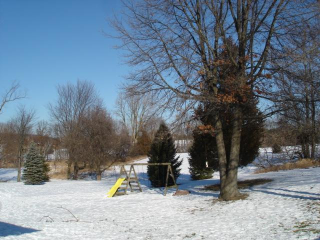 6175 Lingane Road Chelsea, MI 48118 - Photo 35 of 37 Photo 35