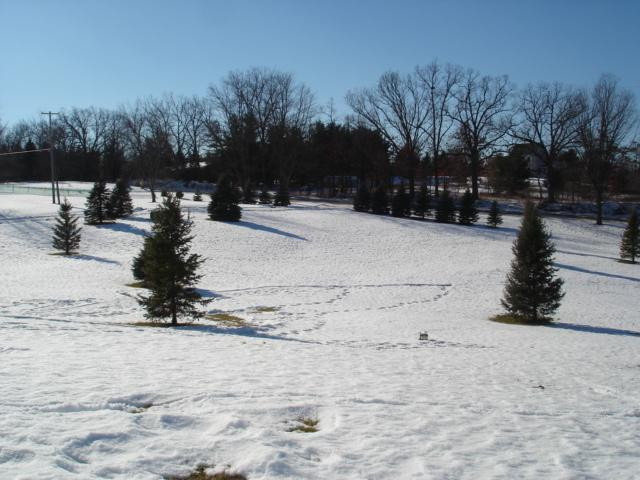 6175 Lingane Road Chelsea, MI 48118 - Photo 36 of 37 Photo 36