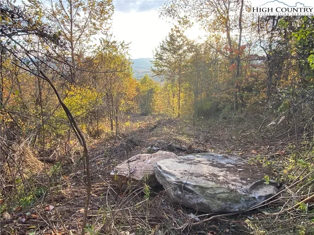 $57,000 | Lot 58 Toms Knob Road, Sparta, NC 28675