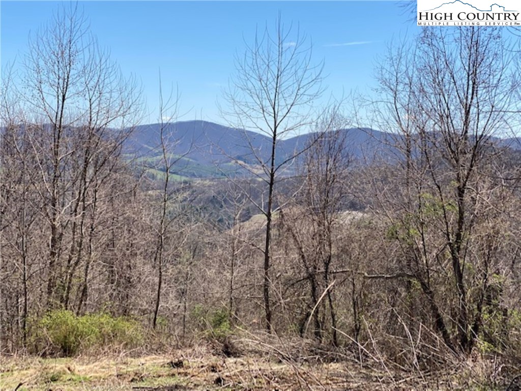 Lot 58 Toms Knob Road Sparta, NC 28675 - Photo 11 of 14