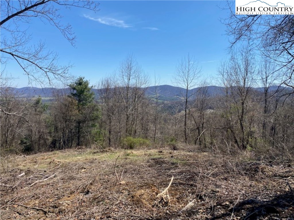 Lot 58 Toms Knob Road Sparta, NC 28675 - Photo 12 of 14