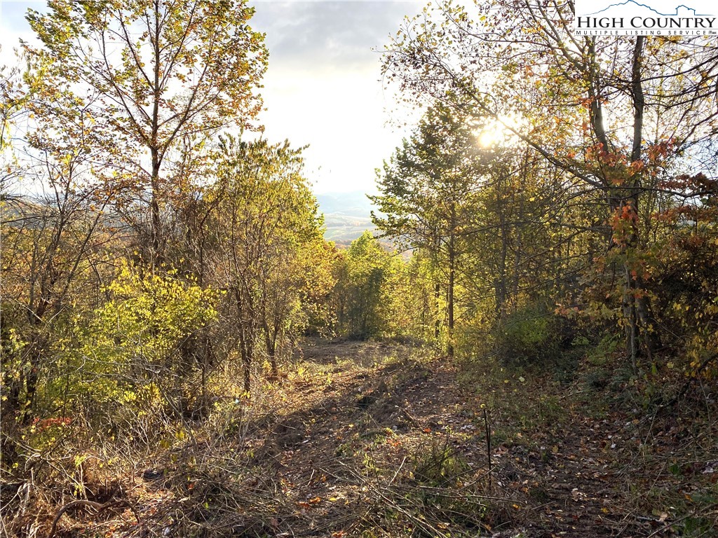 Lot 58 Toms Knob Road Sparta, NC 28675 - Photo 4 of 14