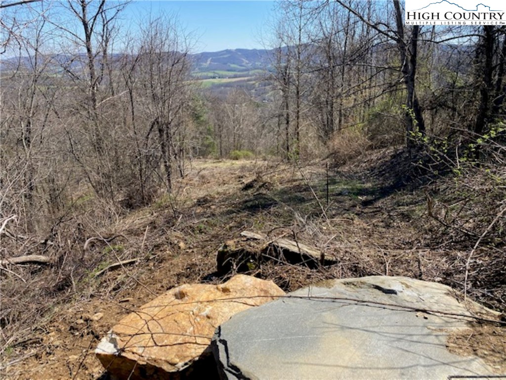 Lot 58 Toms Knob Road Sparta, NC 28675 - Photo 5 of 14