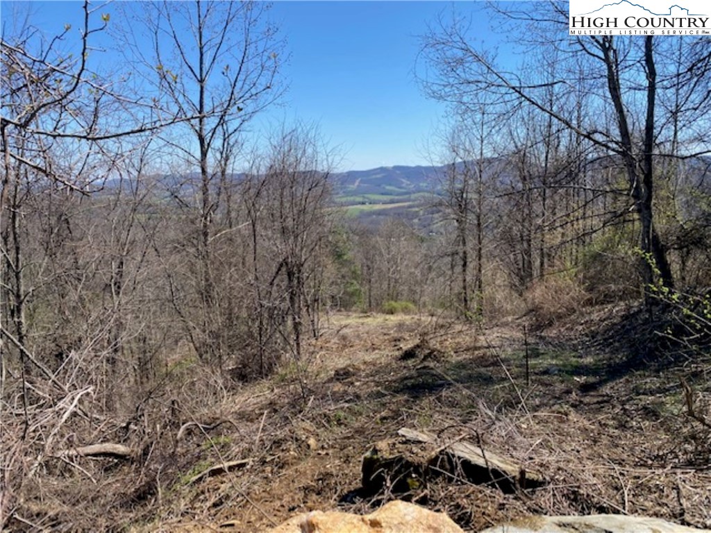 Lot 58 Toms Knob Road Sparta, NC 28675 - Photo 6 of 14