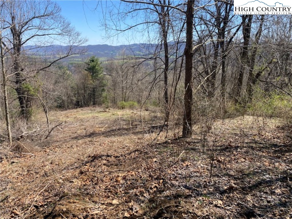 Lot 58 Toms Knob Road Sparta, NC 28675 - Photo 7 of 14