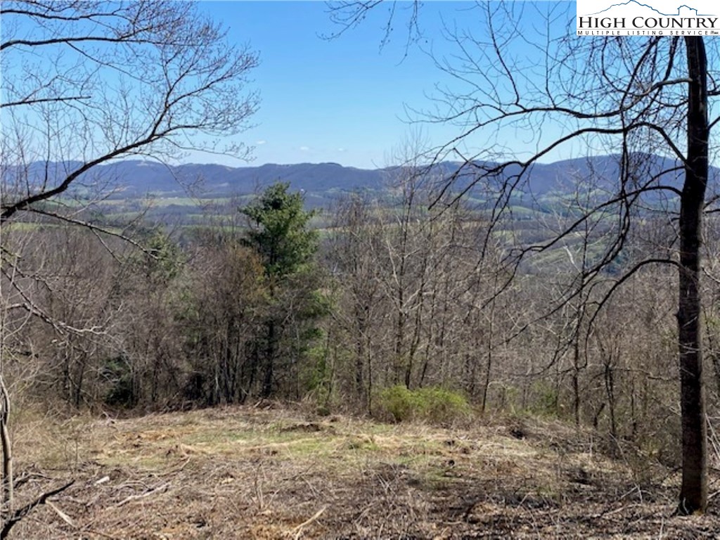 Lot 58 Toms Knob Road Sparta, NC 28675 - Photo 8 of 14