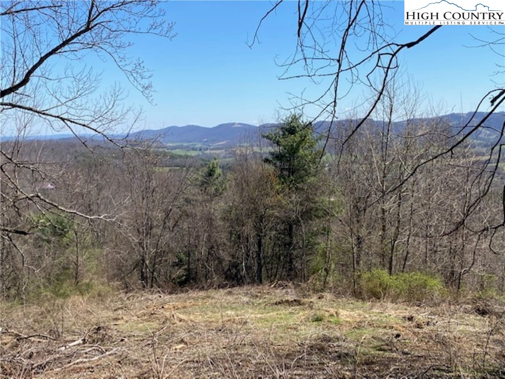 Lot 58 Toms Knob Road Sparta, NC 28675 - Photo 9 of 14