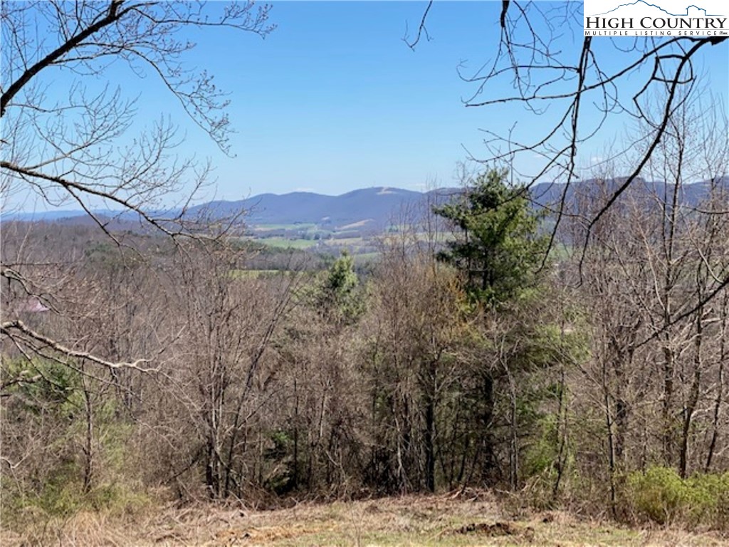 Lot 58 Toms Knob Road Sparta, NC 28675 - Photo 10 of 14