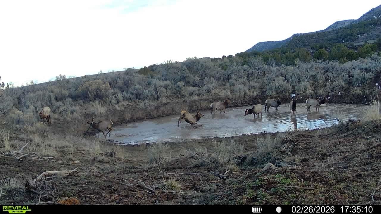 11799 Highway 13 Rifle Co 81650 Rifle, CO 81650 - Photo 19 of 42 Gallery Image 19