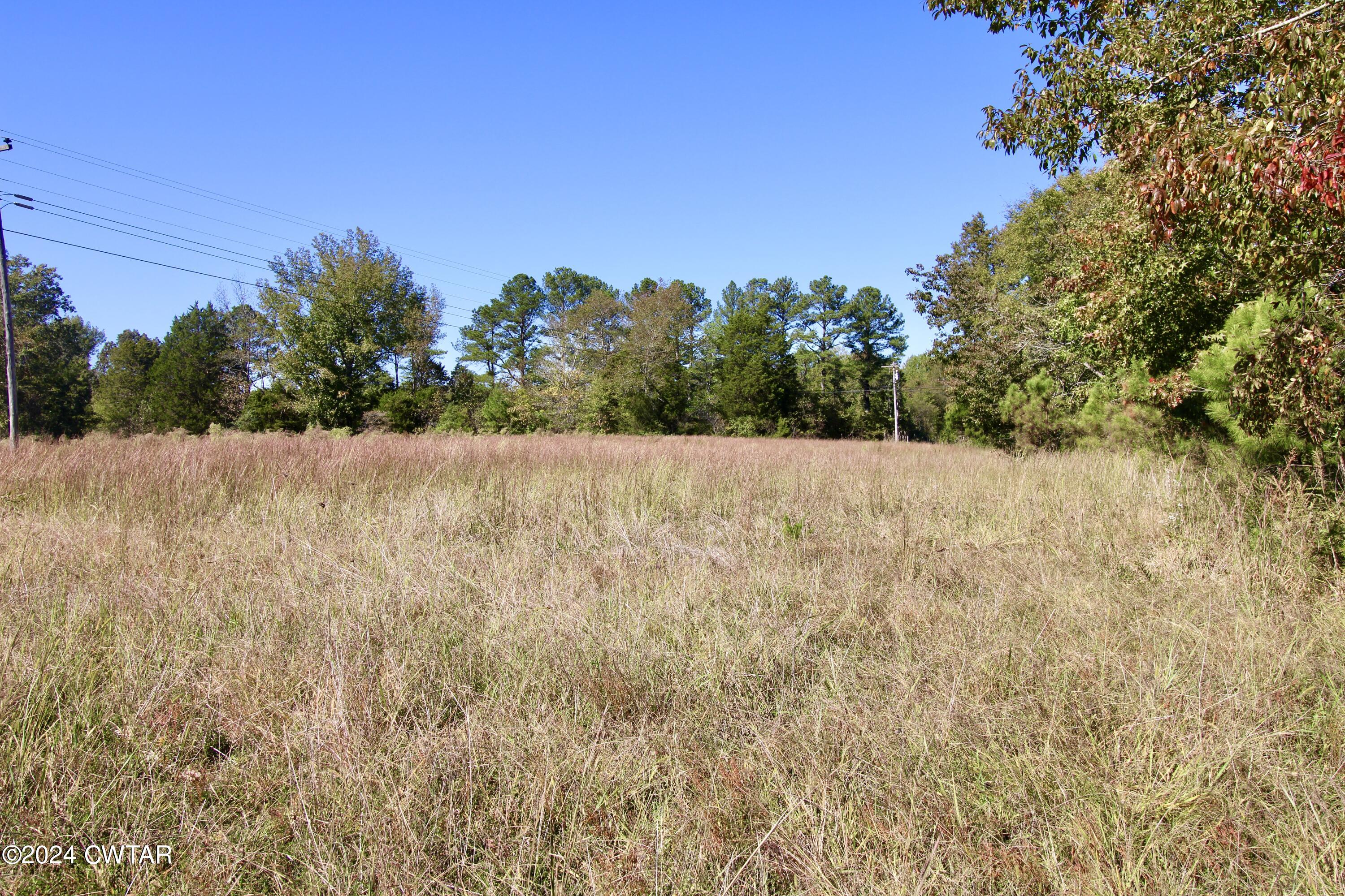 0 Old Stage Road Decaturville, TN 38329 - Photo 2 of 5 a view of plants and trees