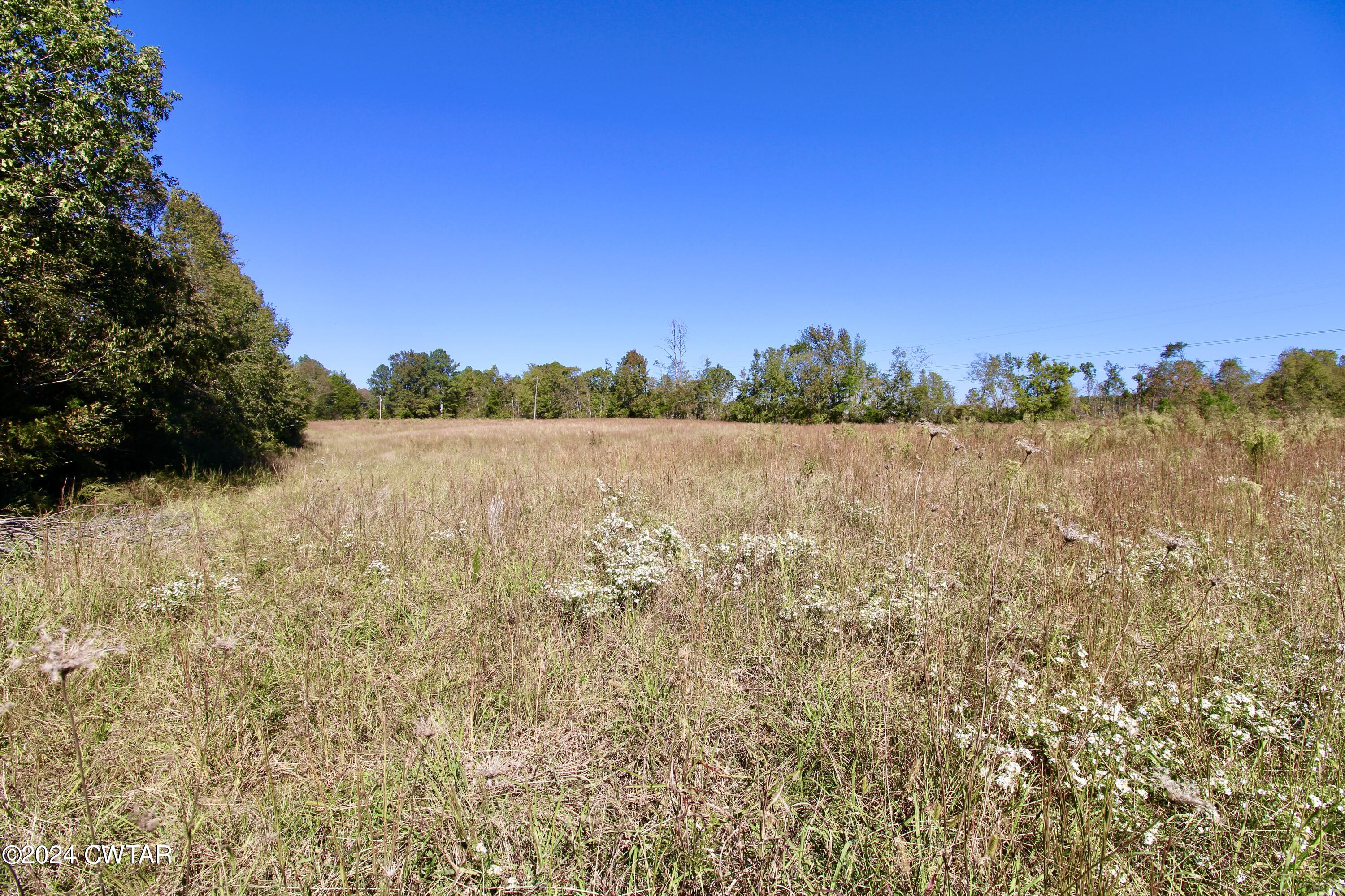 0 Old Stage Road Decaturville, TN 38329 - Photo 3 of 5 a view of mountain with tree in the background