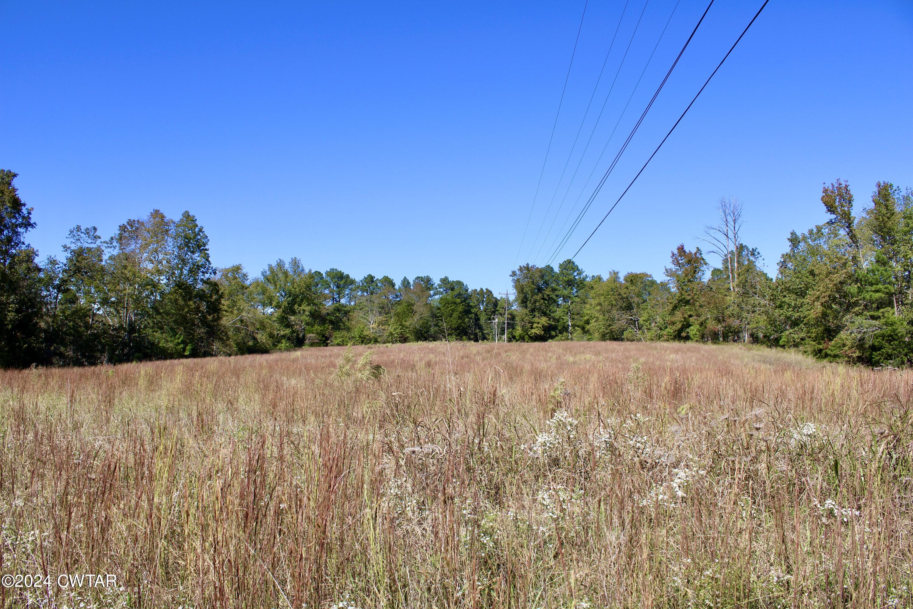 0 Old Stage Road Decaturville, TN 38329 - Photo 4 of 5 a view of an outdoor space and a yard
