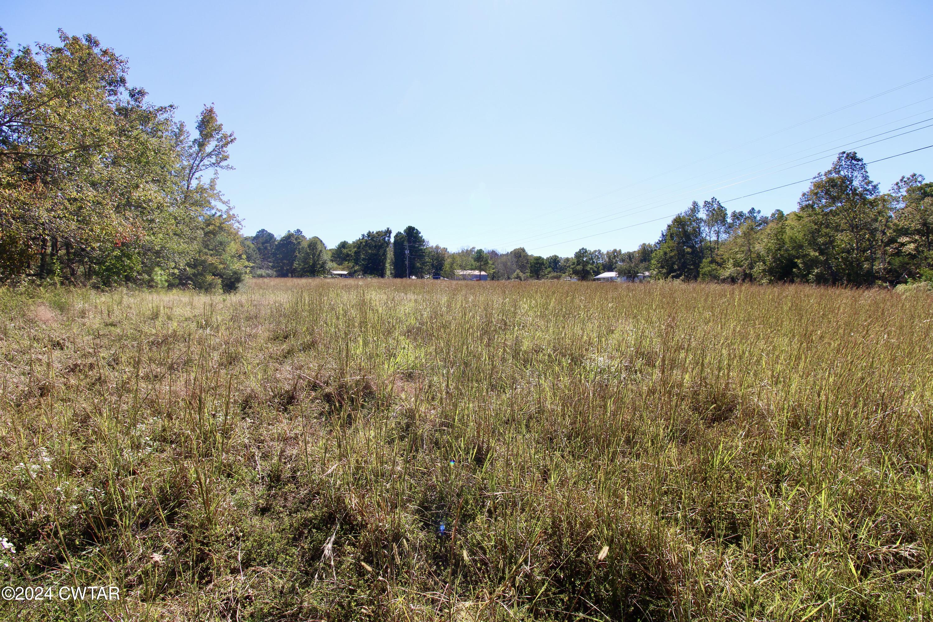 0 Old Stage Road Decaturville, TN 38329 - Photo 5 of 5