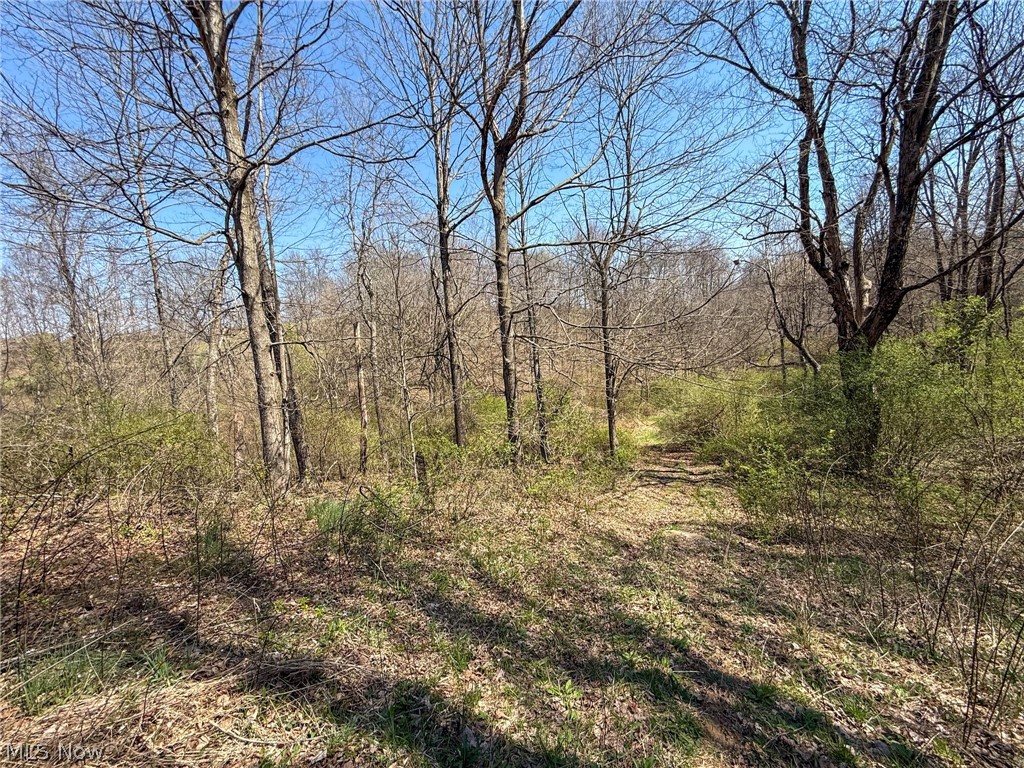 Claysville Road Cumberland, OH 43732 - Photo 2 of 47