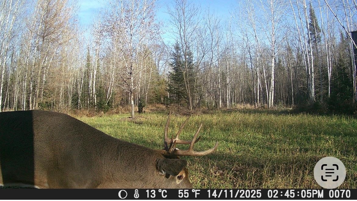 Red Hickory Road Eland, WI 54427 - Photo 28 of 28