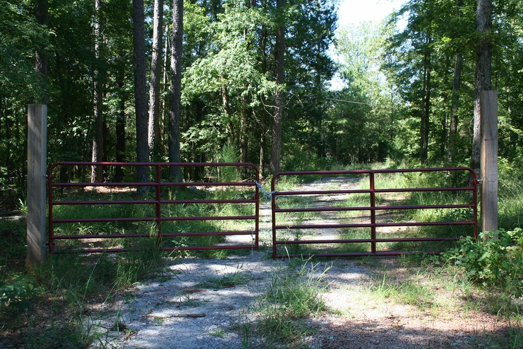 Lot A Dozier Road Appling, GA 30802 - Photo 1 of 3 Main View