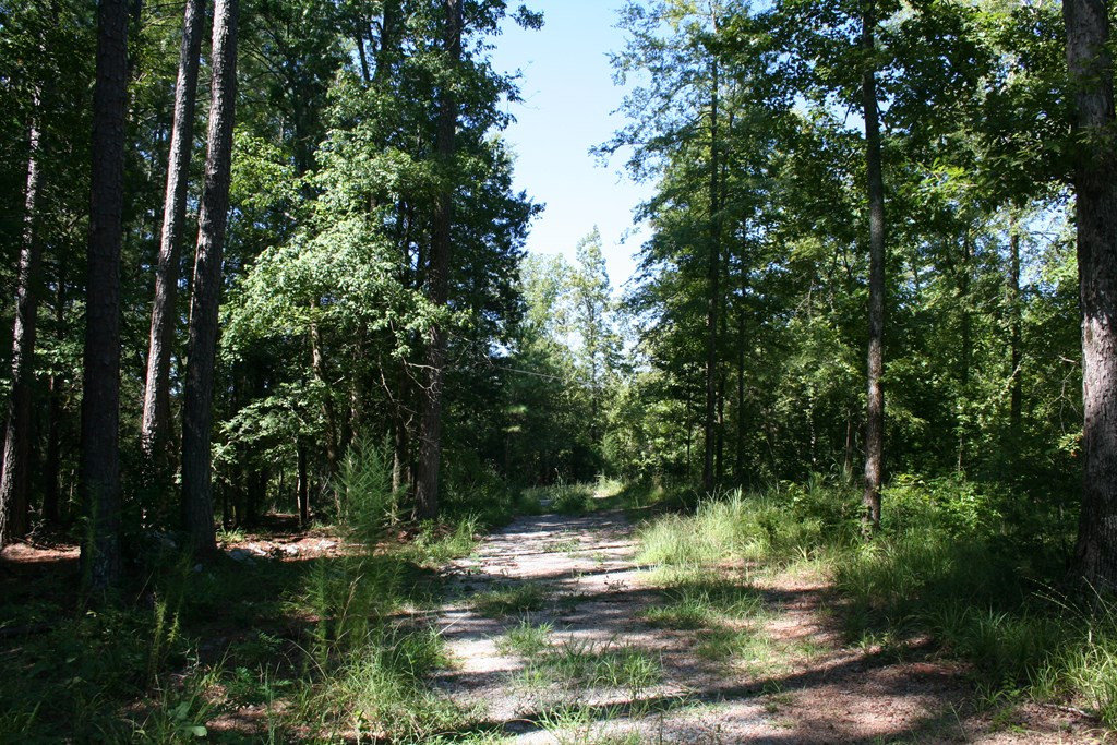 Lot A Dozier Road Appling, GA 30802 - Photo 3 of 3