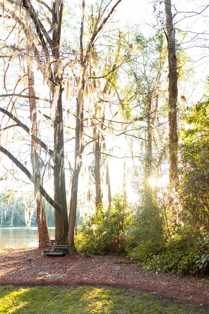 821 Millpond Road Valdosta, GA 31602 - Photo 26 of 27 Gallery Image 26