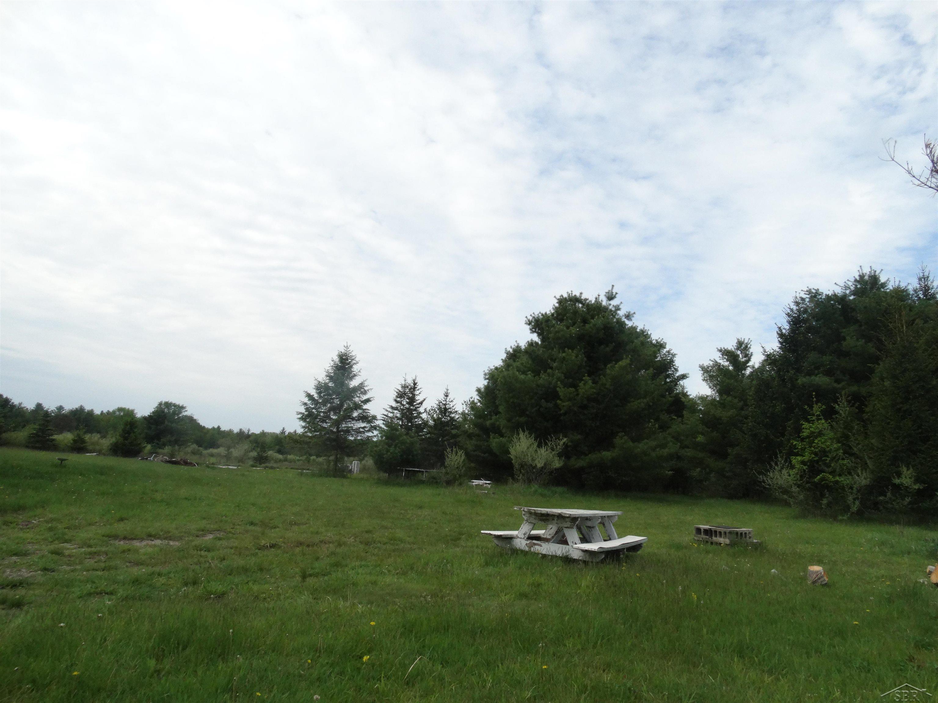 350 South Fire Road Twining, MI 48766 - Photo 2 of 20
