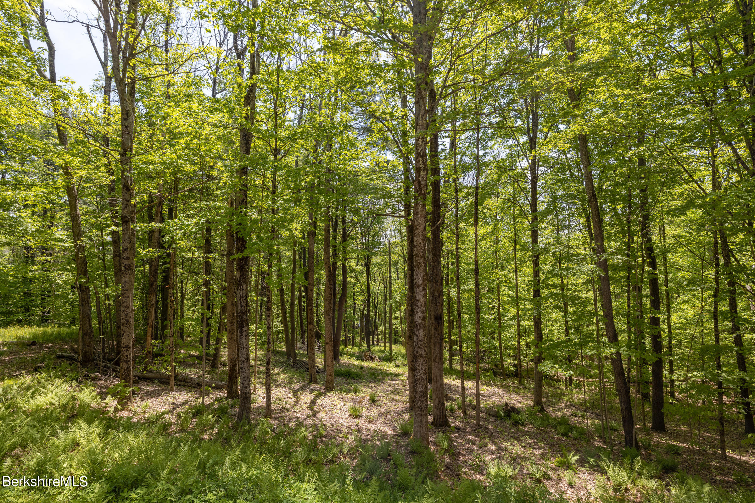 255 Hupi Road Monterey, MA 01245 - Photo 25 of 26 a view of a yard