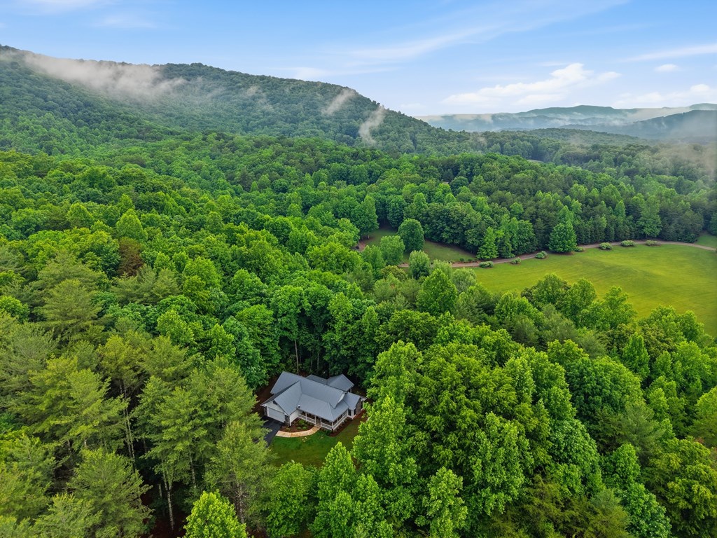 175 Crane Creek Road Young Harris, GA 30582 - Photo 37 of 40 a view of a lush green hillside and a houses