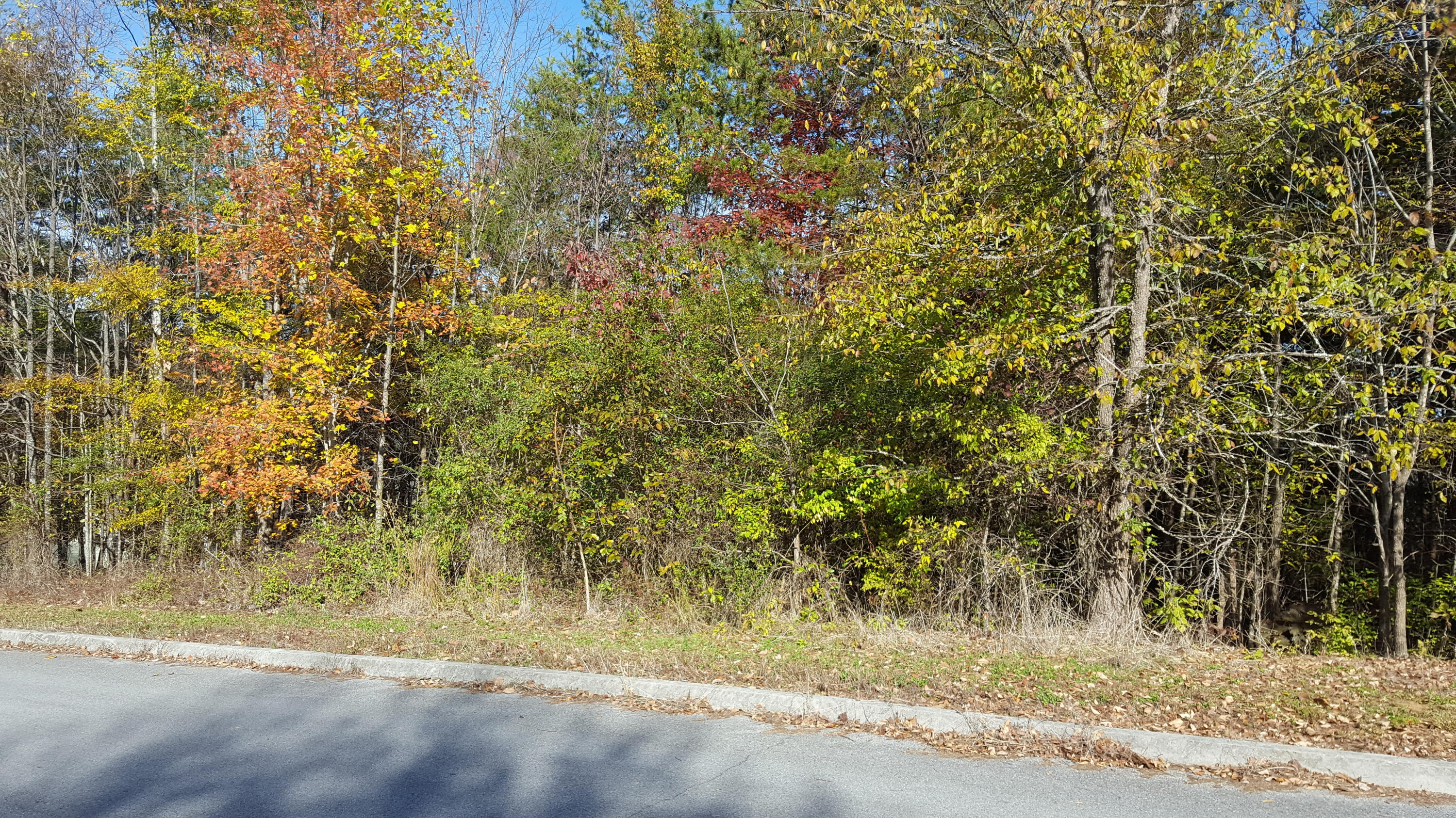 Sentry Ridge View Drive Seymour, TN 37865 - Photo 1 of 11 20191111_110716