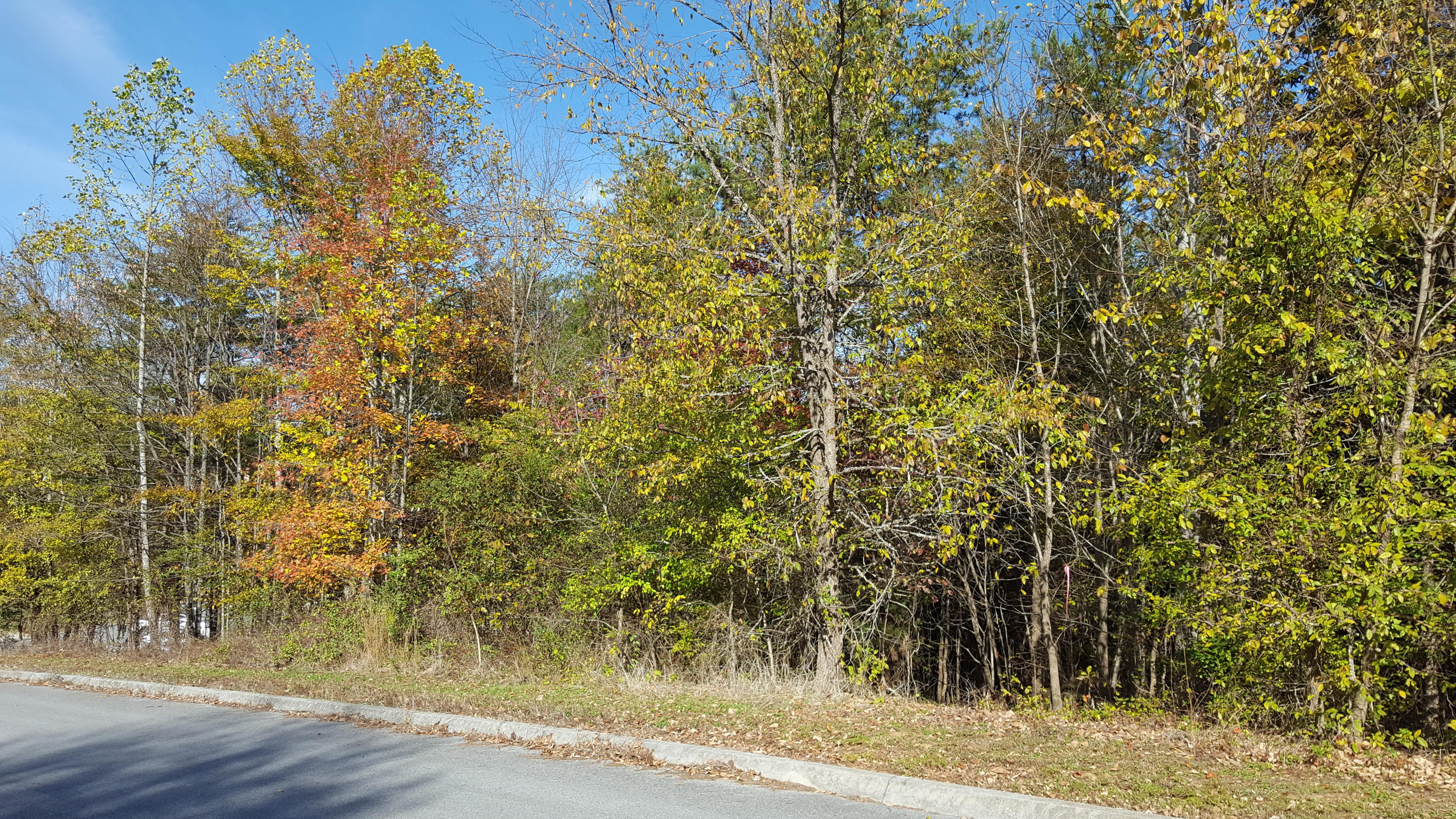 Sentry Ridge View Drive Seymour, TN 37865 - Photo 2 of 11 20191111_110912