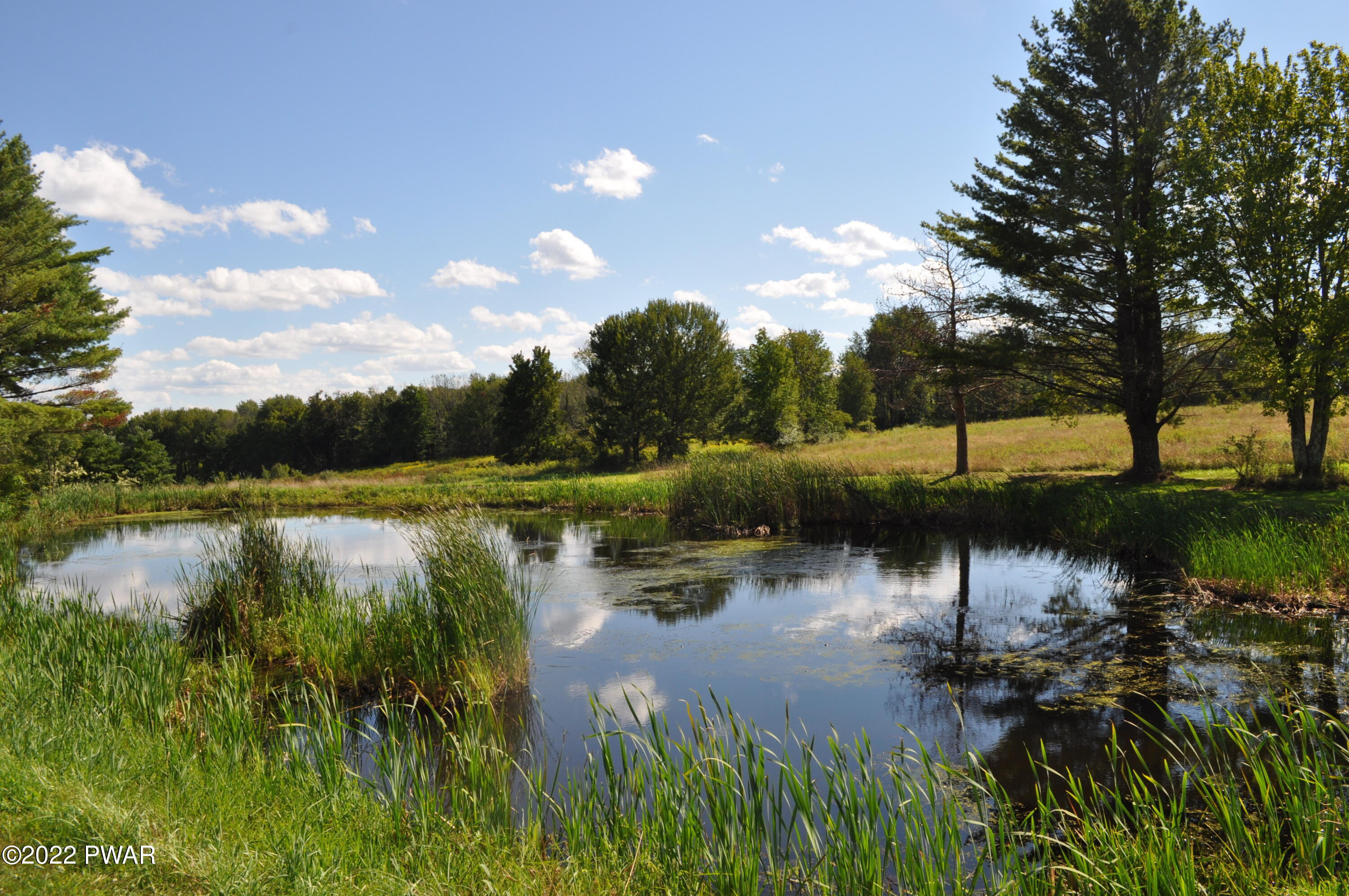 313 Creamery Road Jermyn, PA 18433 - Photo 49 of 62 Privat Pond