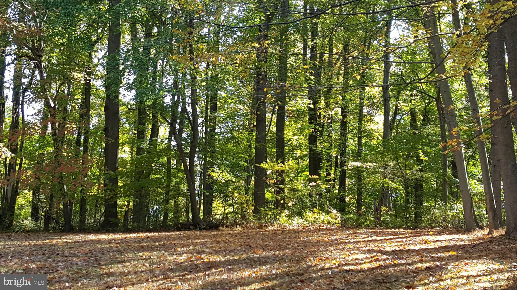 614 Stokes Road Darlington, MD 21034 - Photo 19 of 28 View of upper field in early Autumn
