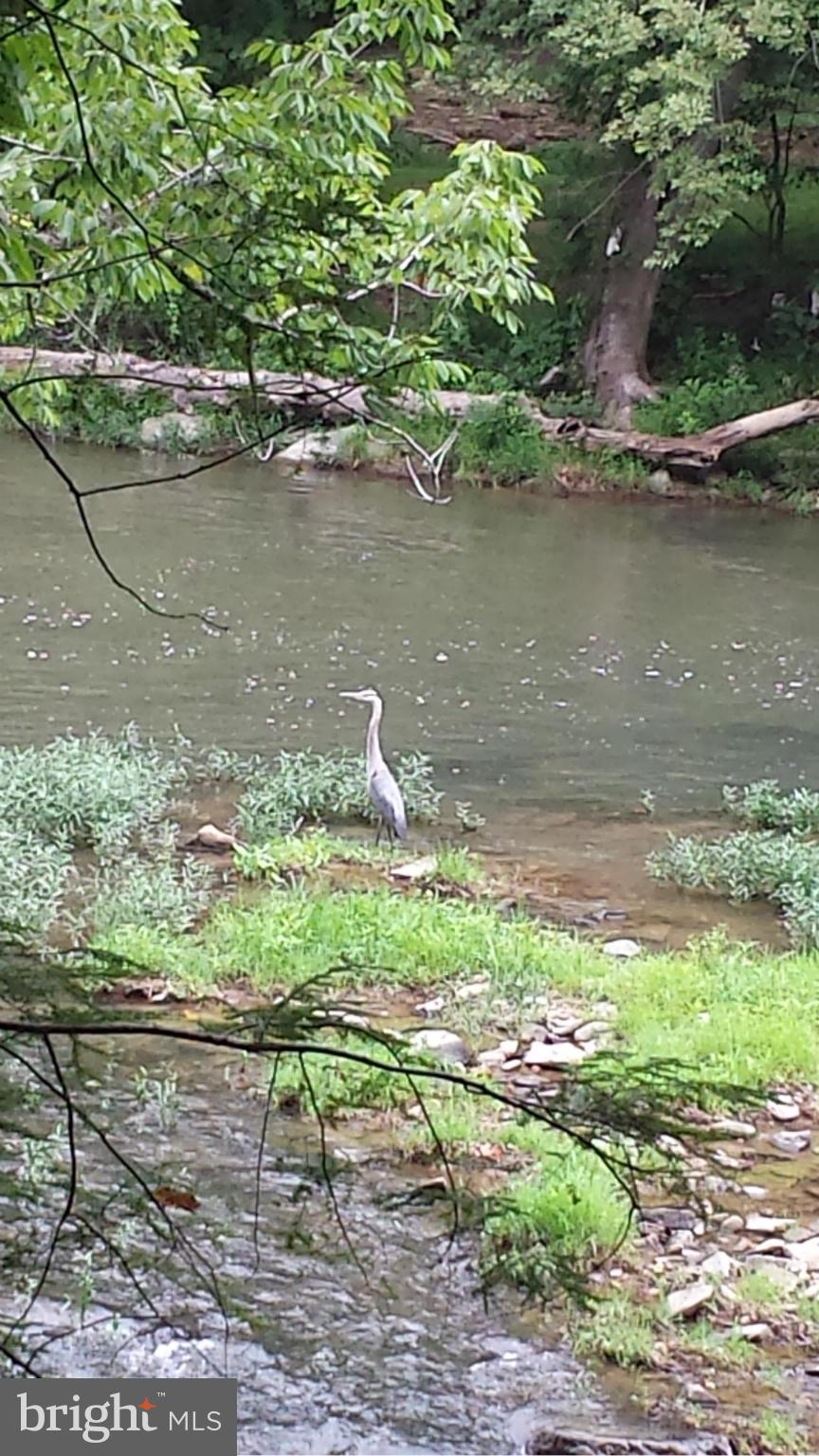 614 Stokes Road Darlington, MD 21034 - Photo 22 of 28 Heron in Deer Creek