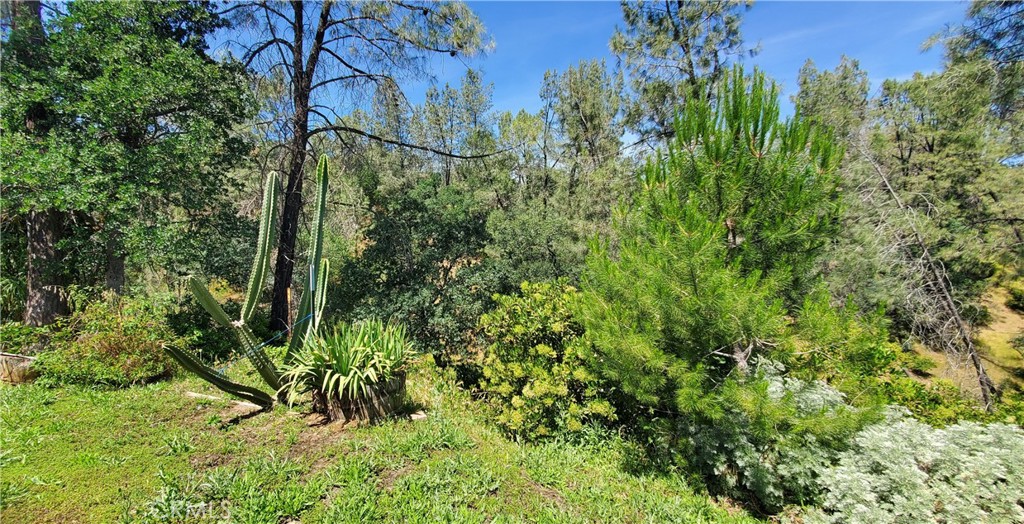 16080 Oakridge Road Corning, CA 96021 - Photo 13 of 36
