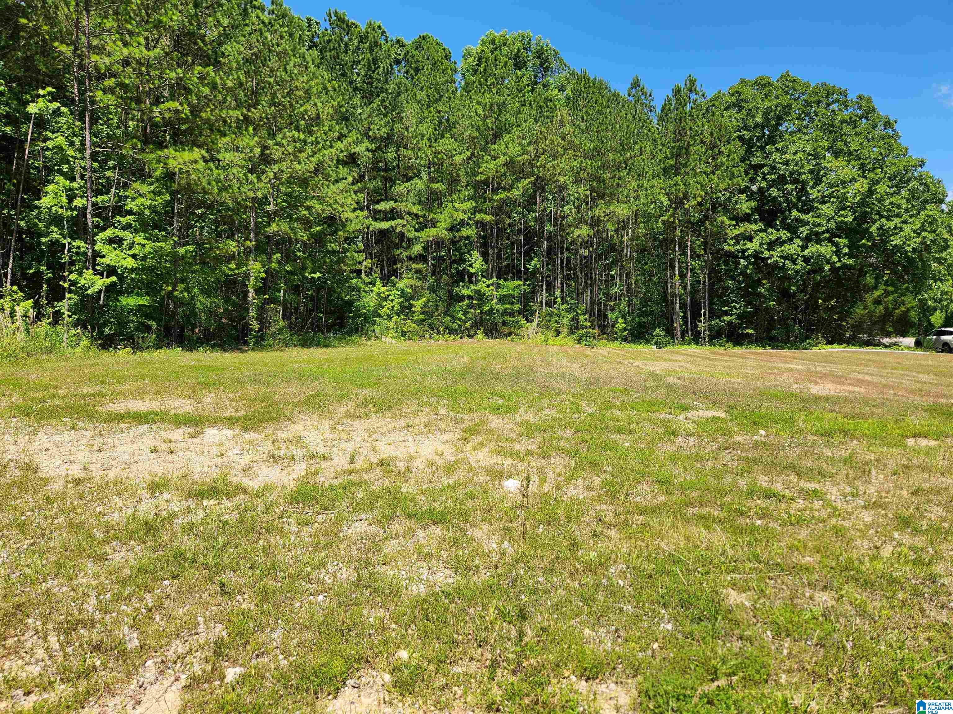 920 Shipley Road, Unit 3 Anniston, AL 36205 - Photo 2 of 9