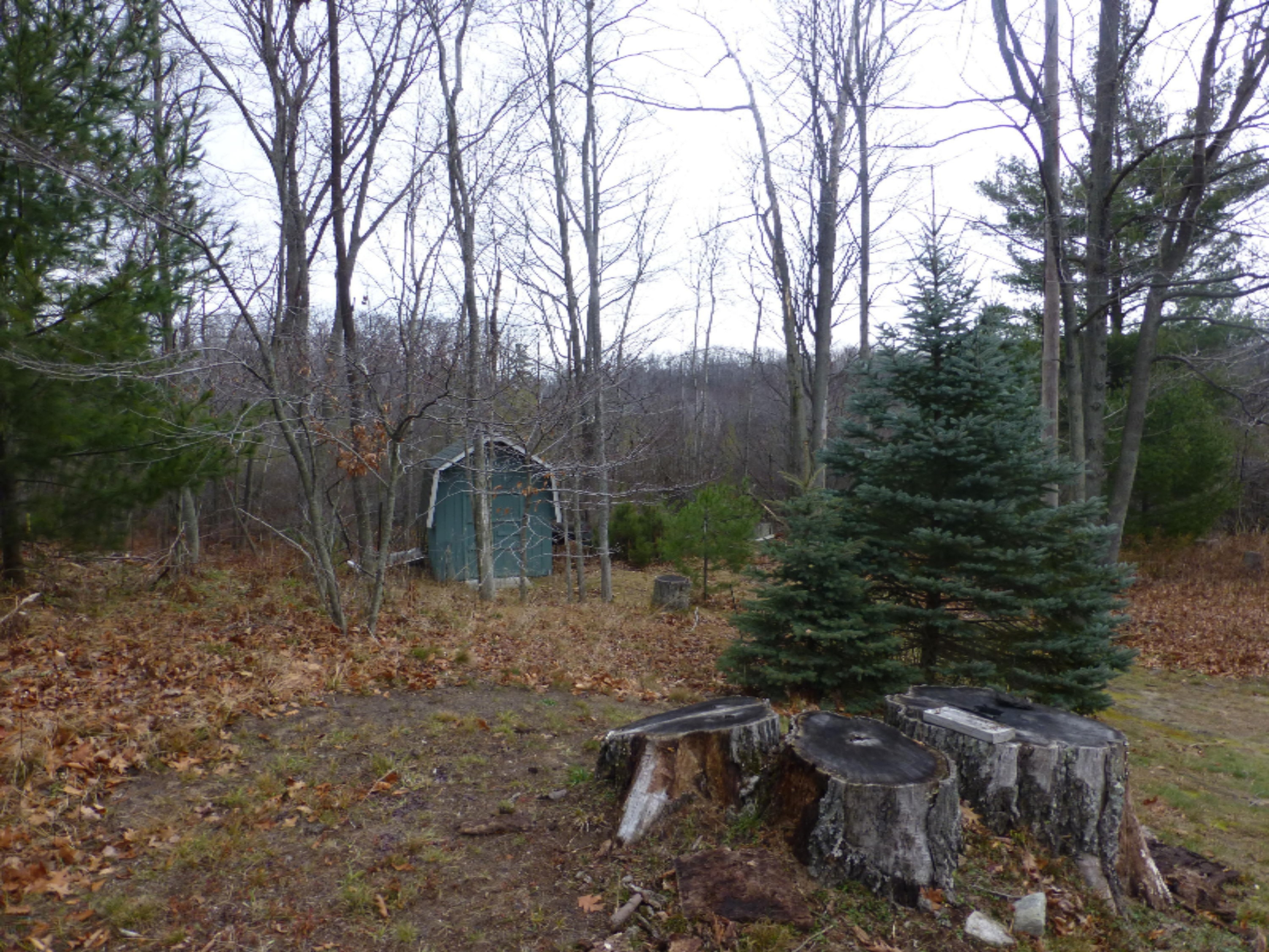 7032 Abrahamson Road Ludington, MI 49431 - Photo 22 of 27 P1040323
