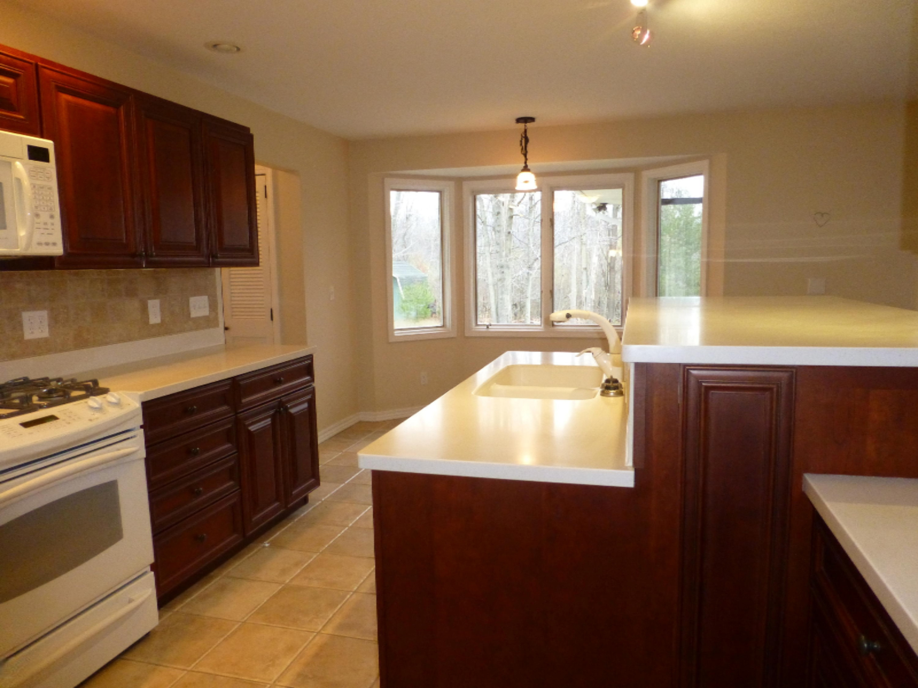 7032 Abrahamson Road Ludington, MI 49431 - Photo 4 of 27 P1040291