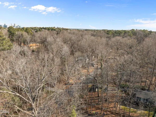 an aerial view of forest