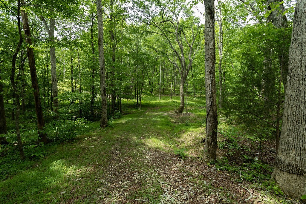 0 Billy Wynn Road Dickson, TN 37055 - Photo 28 of 44