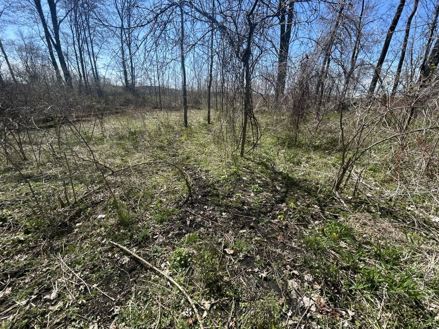 0 Peckins Road Chelsea, MI 48118 - Photo 11 of 15 Peck4