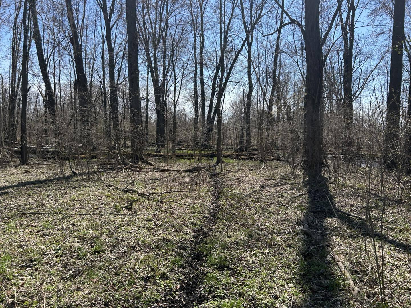 0 Peckins Road Chelsea, MI 48118 - Photo 12 of 15 Peck3