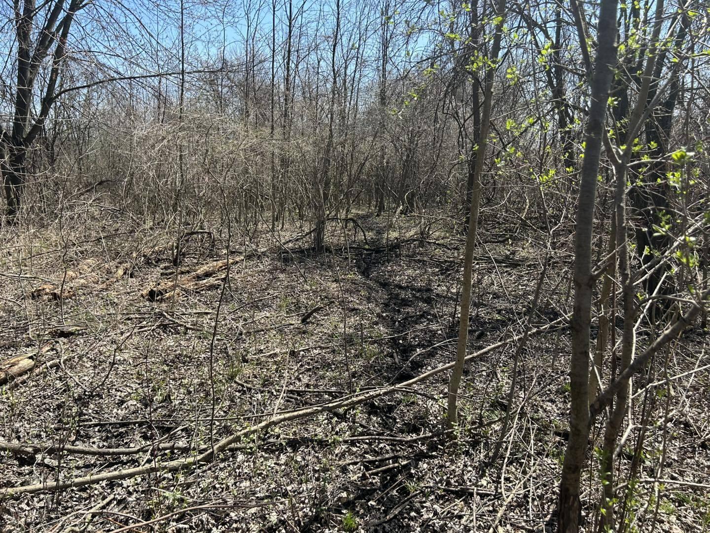 0 Peckins Road Chelsea, MI 48118 - Photo 13 of 15 Peck2