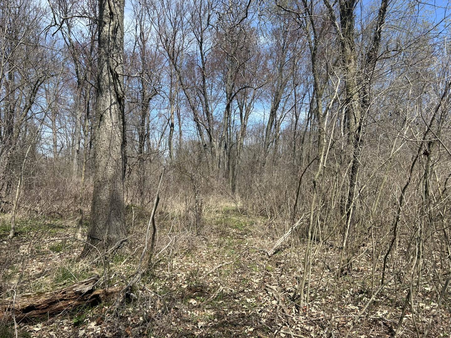 0 Peckins Road Chelsea, MI 48118 - Photo 3 of 15 Peck12