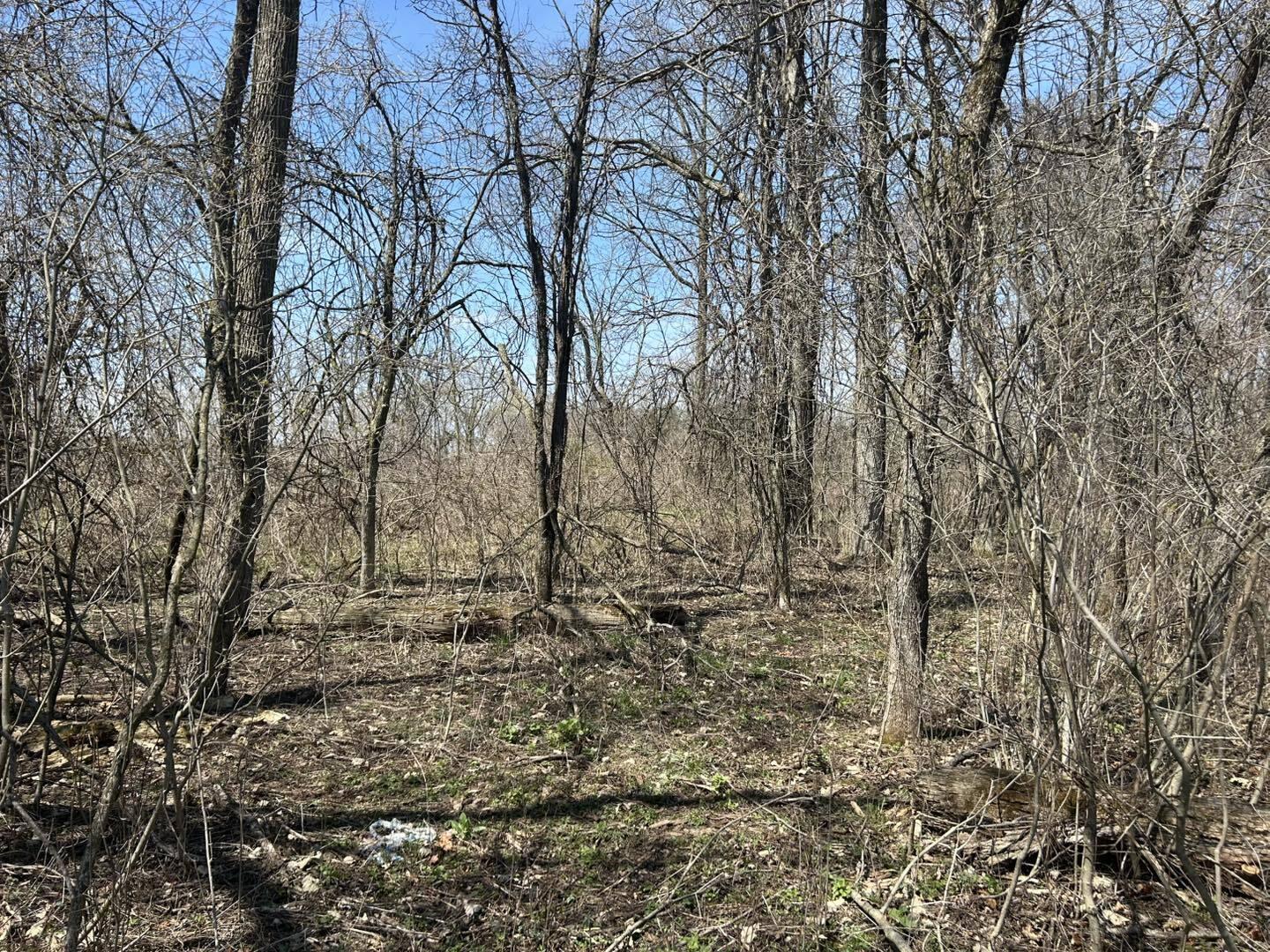 0 Peckins Road Chelsea, MI 48118 - Photo 4 of 15 Peck11