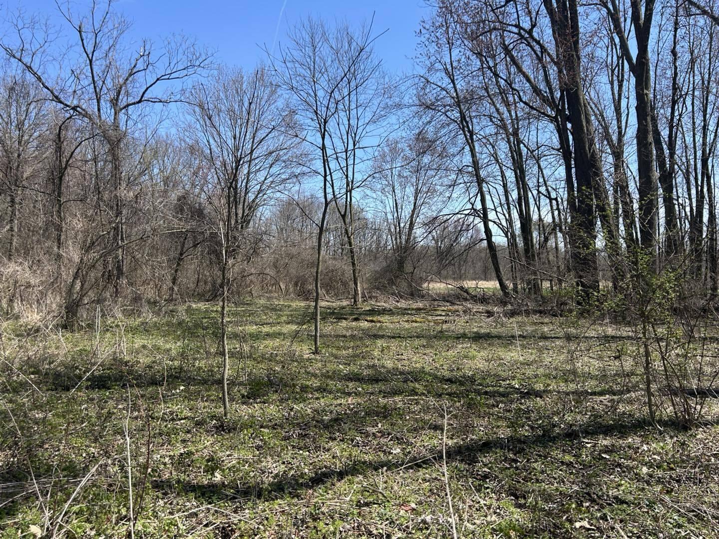 0 Peckins Road Chelsea, MI 48118 - Photo 7 of 15 Peck8