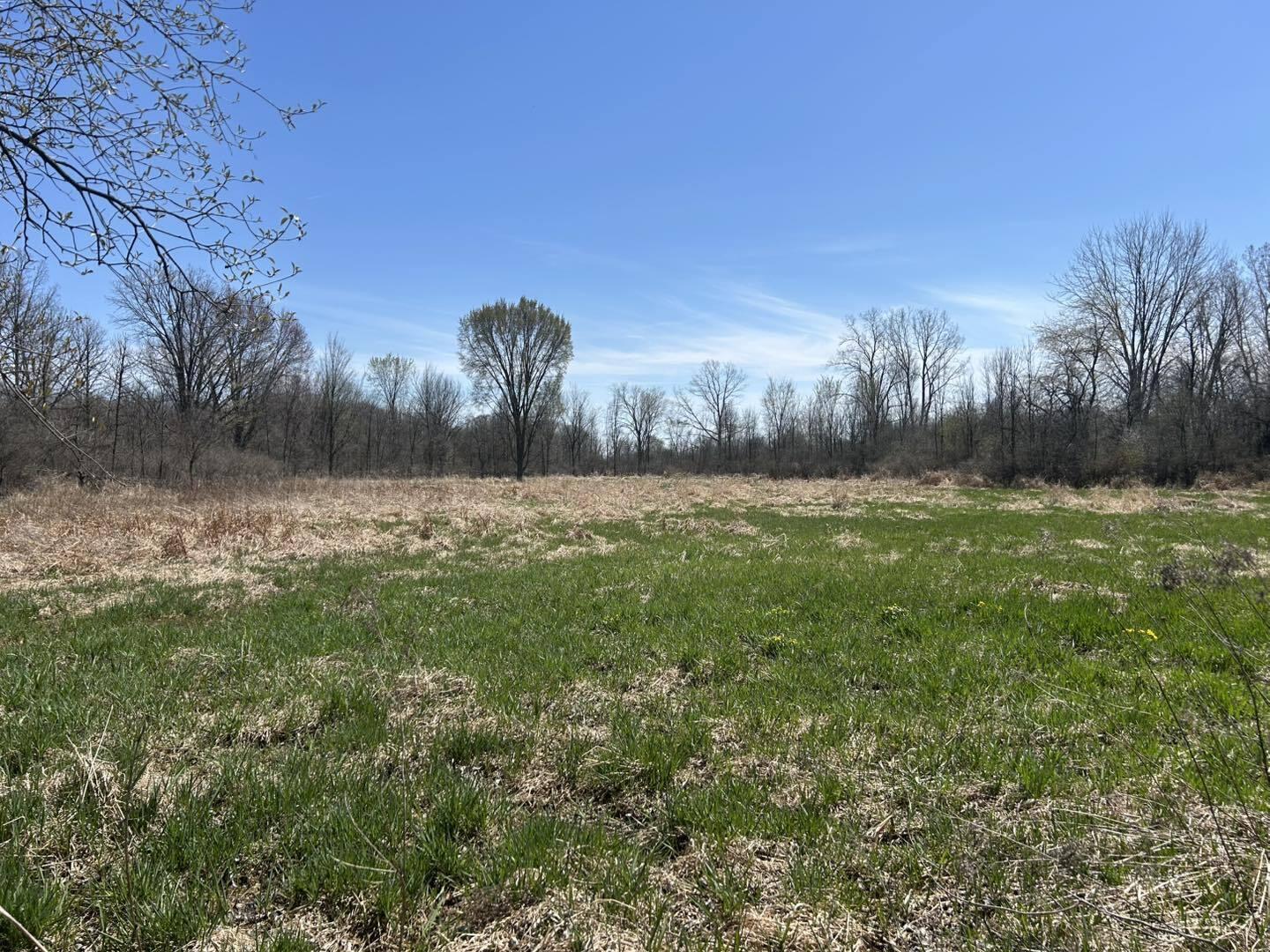 0 Peckins Road Chelsea, MI 48118 - Photo 8 of 15 Peck7