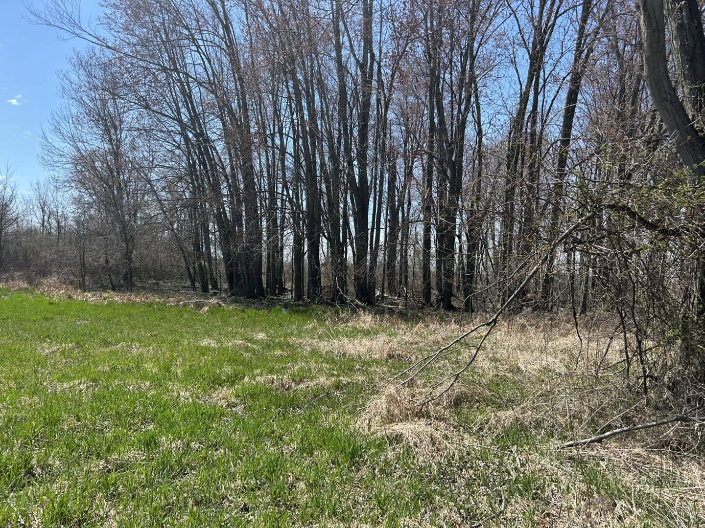 0 Peckins Road Chelsea, MI 48118 - Photo 9 of 15 Peck6