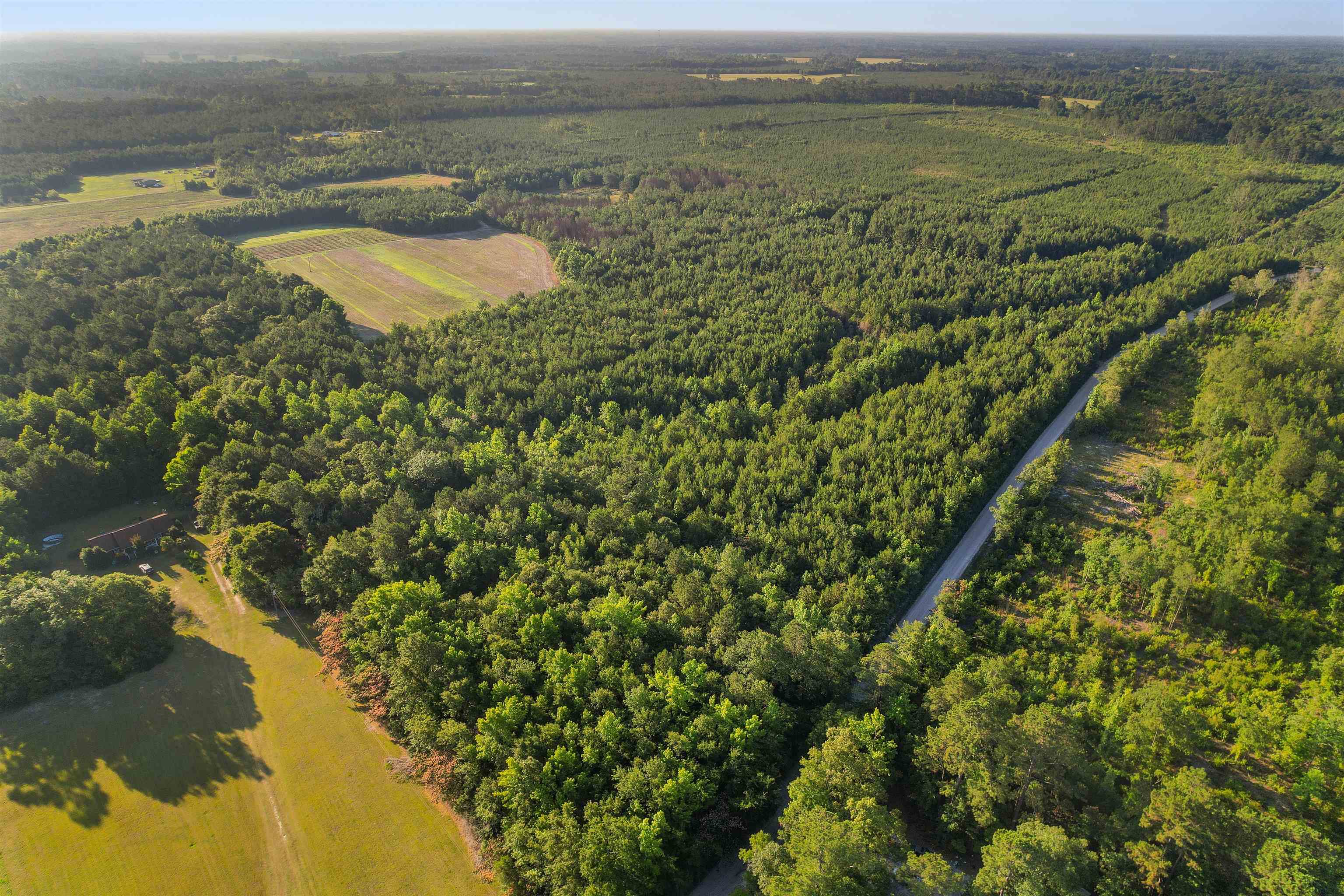 77-acres - Tbd Bert Hanna Road Hemingway, SC 29554 - Photo 22 of 28