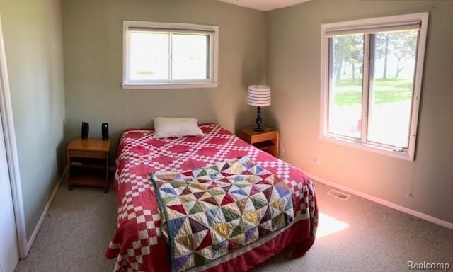 8189 Lakeshore Road Lexington, MI 48450 - Photo 17 of 25 8189 Lakeshore BR2.jpg