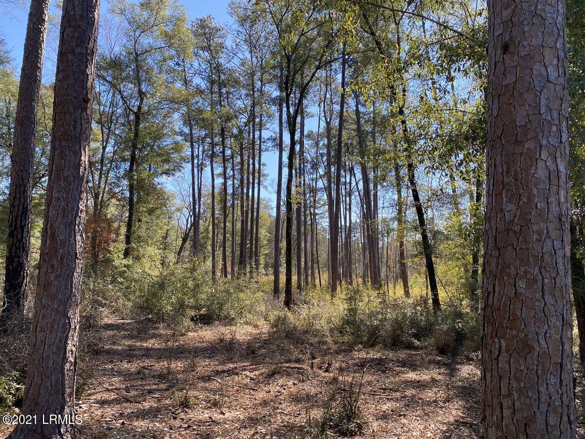 4200 Sand Hills Road Garnett, SC 29922 - Photo 17 of 50 17